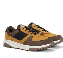 Fluchos Calzado Casual|Cordones>ARION F2013 Deportivo Amarillo