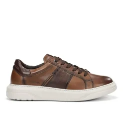 Fluchos Light|Calzado Casual>BOSTON F2043 Deportivo Marrón