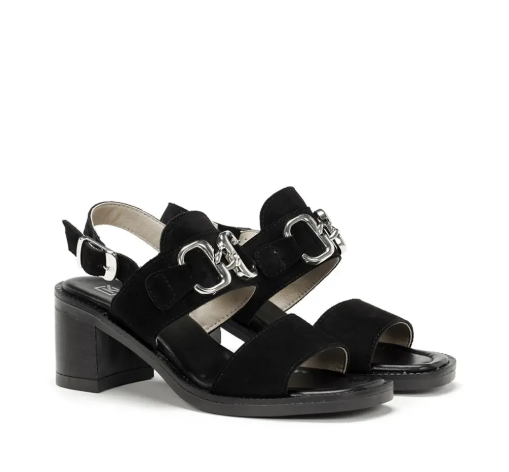 Fluchos Mujer>CIRCUS D9065 Sandalia Negra