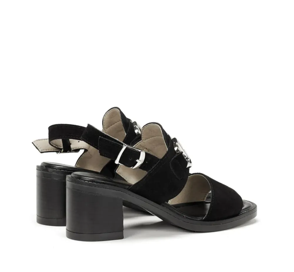 Fluchos Mujer>CIRCUS D9065 Sandalia Negra