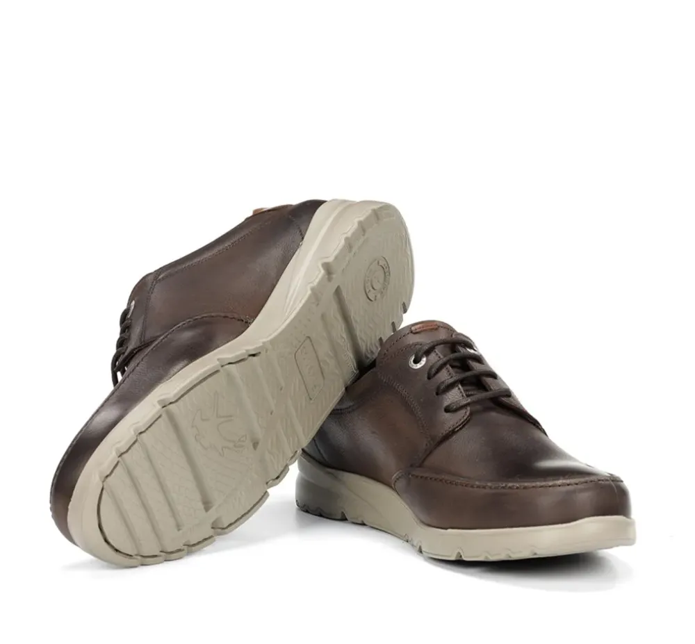 Fluchos Light|Calzado Casual>DARYL F1460 Zapato Marrón