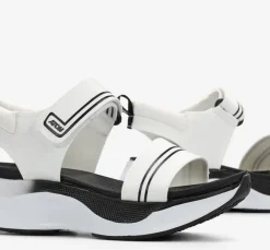 Fluchos Mujer><noscript><img width=