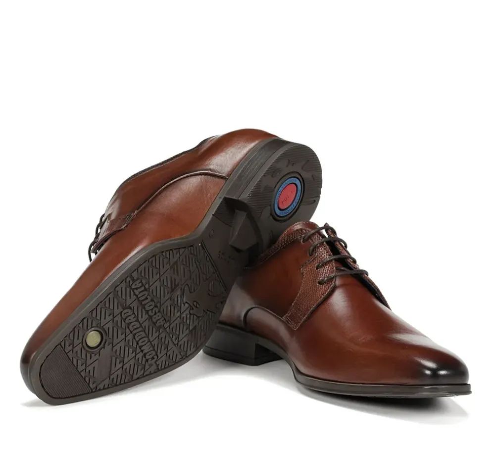 Fluchos Hombre>GOLEM 9952 Zapato Marrón