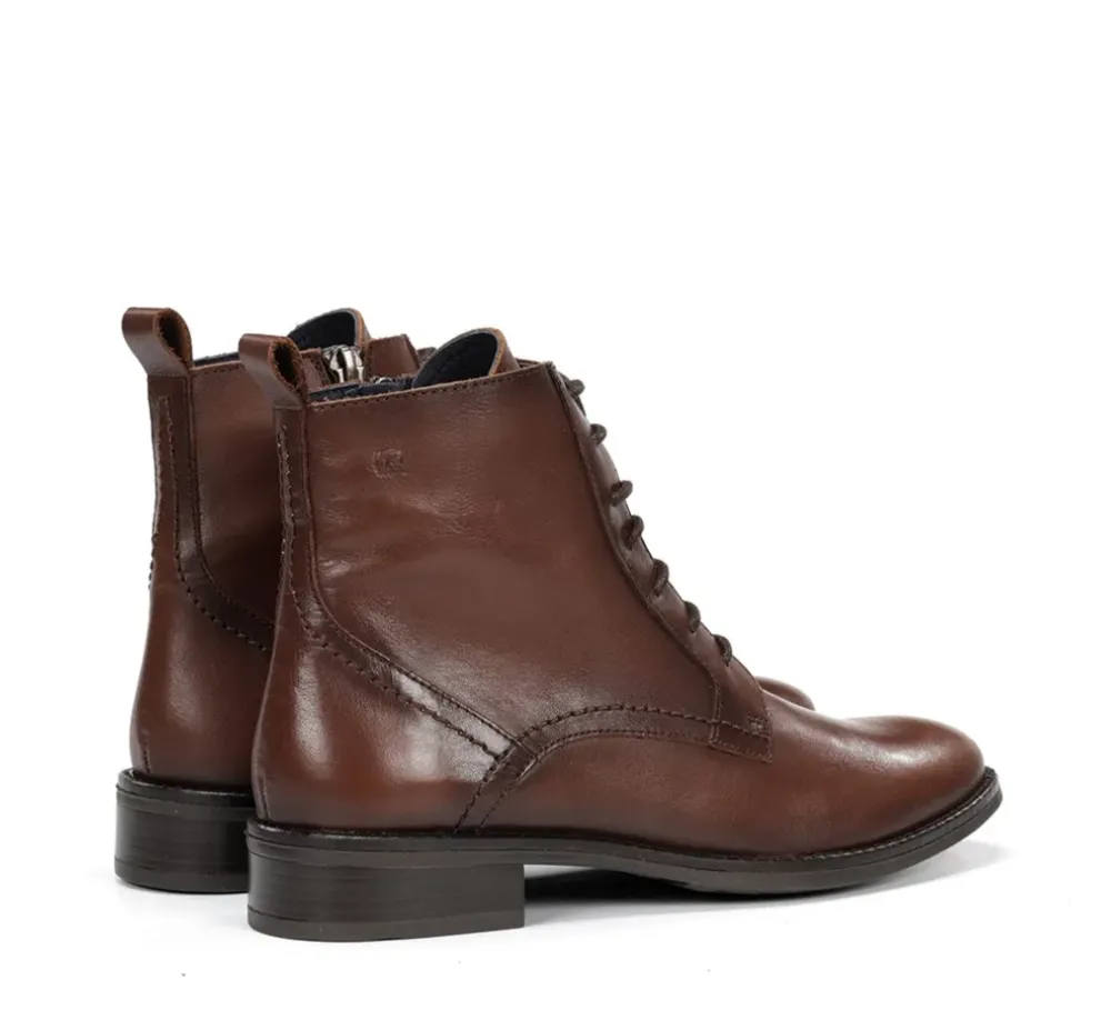 Fluchos Dorking By Fluchos|Calzado Casual>HARVARD D8343 Botín Marrón