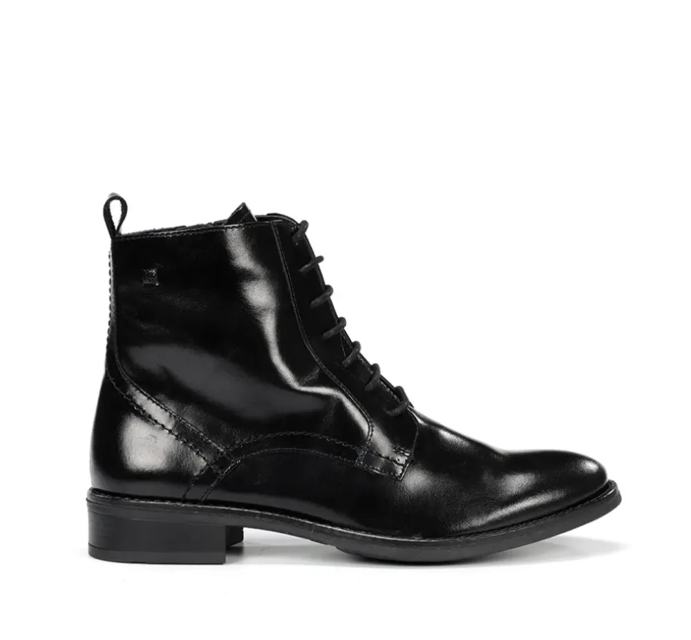 Fluchos Dorking By Fluchos|Calzado Casual>HARVARD D8343 Botín Negro