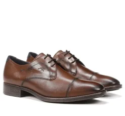 Fluchos Calzado Vestir|Zapatos>LUKE F1055 Zapato Marrón