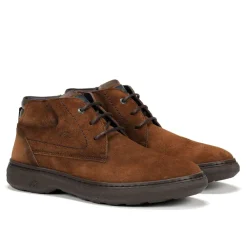 Fluchos Calzado Casual|Botines>RAGNAR F1878 Botín Marrón
