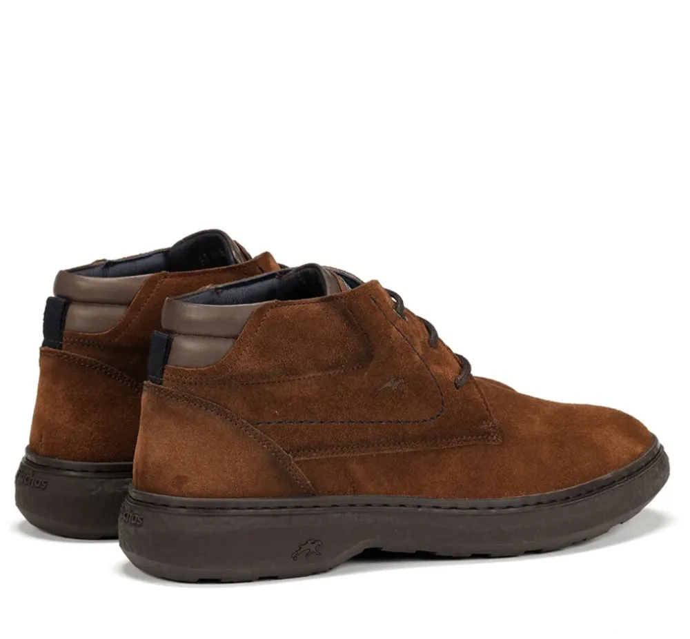 Fluchos Calzado Casual|Botines>RAGNAR F1878 Botín Marrón