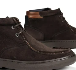 Fluchos Calzado Casual|Botines><noscript><img width=