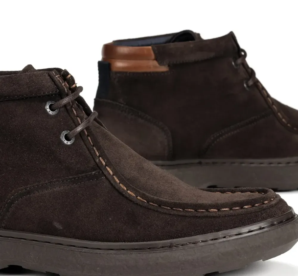 Fluchos Calzado Casual|Botines>RAGNAR F1881 Botín Marrón