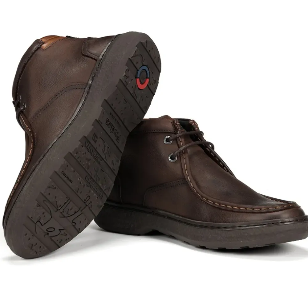 Fluchos Calzado Casual|Botines>RAGNAR F1881 Botín Marrón