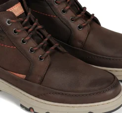 Fluchos Calzado Casual|Botines><noscript><img width=